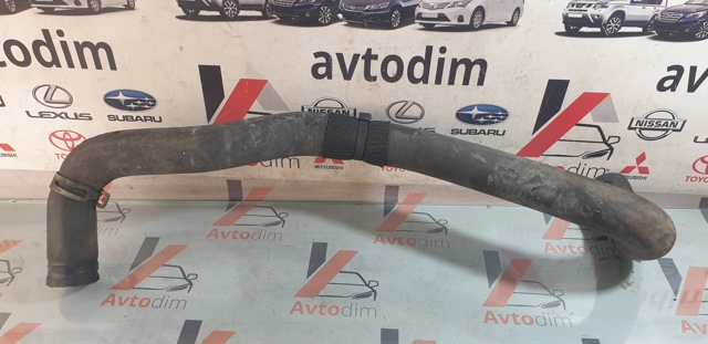Шланг/патрубок радіатора охолодження, нижній 21503BA60A NISSAN