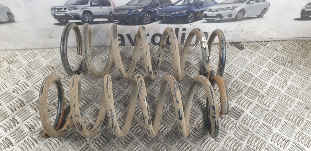 Пружина підвіски задня 55020EB31A NISSAN