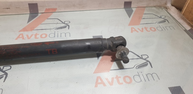Амортизатор під капот 57251SG010 SUBARU