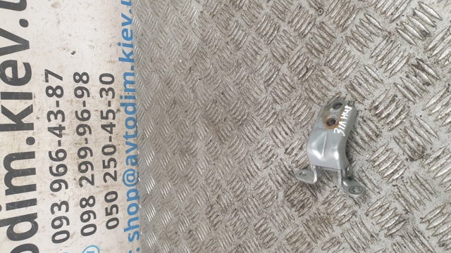 Петля задніх дверей, лівих 60470AG0309P SUBARU