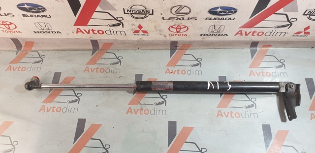 Амортизатор задньої ляди 63269SG010 SUBARU