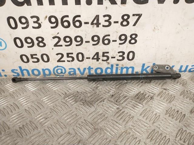 Амортизатор задньої ляди 6895005060 TOYOTA