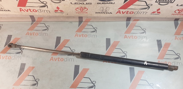 Амортизатор двері 3/5-ї задньої 90450EQ325 NISSAN