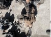 Коробка передач в зборі з головною передачею і диференціалом Volkswagen Tiguan 1