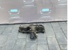 Колектор впускний 03L129711AL VAG