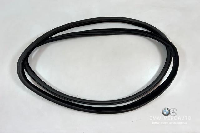 Ущільнювач двері передньої (на кузові) 51727289608 BMW