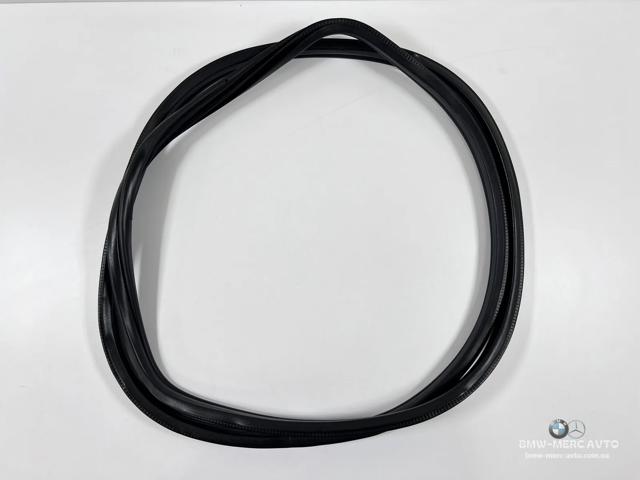 Ущільнювач задніх дверей 51767221843 BMW