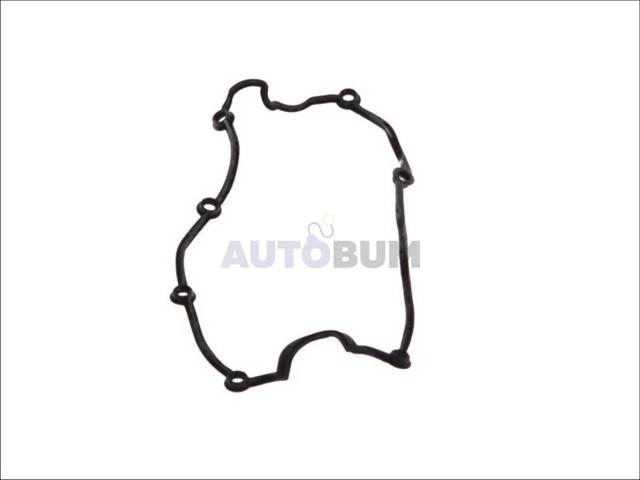 Прокладка кришки клапанної  325070 ELRING
