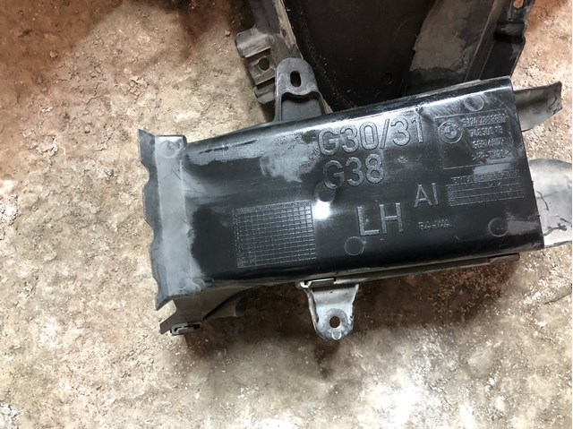Повітропровід гальмівного диска, лівий 51747383851 BMW