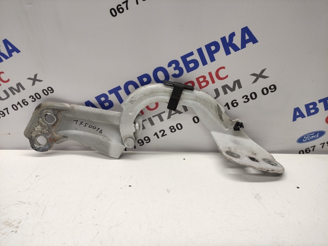 Завіса капота права 1750016 FORD