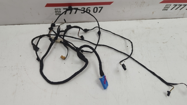 Джгут проводів передньої двері 4L0971035AJ VAG