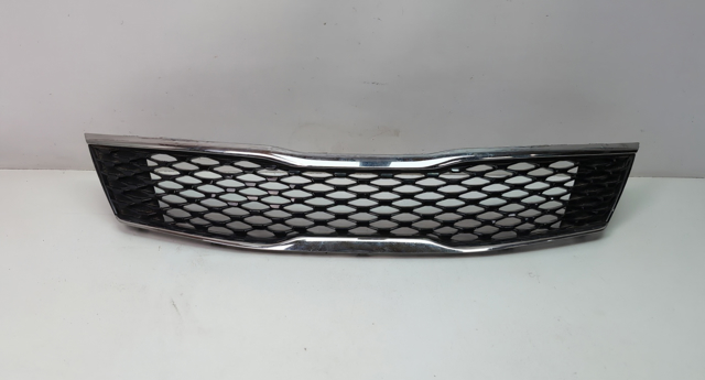 Захисна решітка радіатора 86350D5020 HYUNDAI