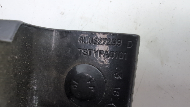 Петля задньої багажної, 3/5 -ої двері 8U0827299D VAG