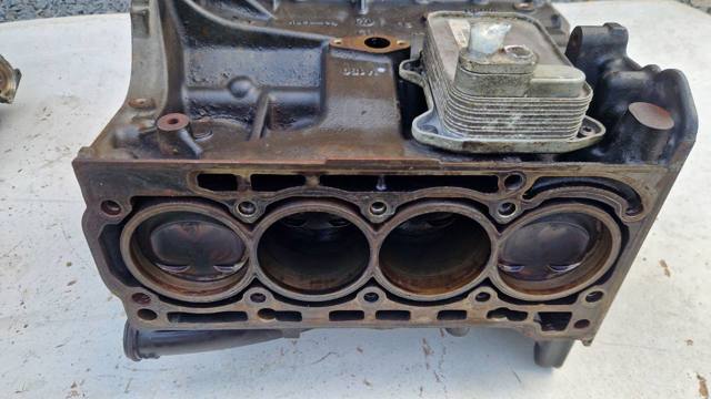 Радіатор масляний 03C117021J VAG