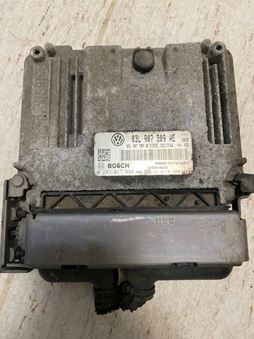 Мізки двигуна 03L907309AE VAG