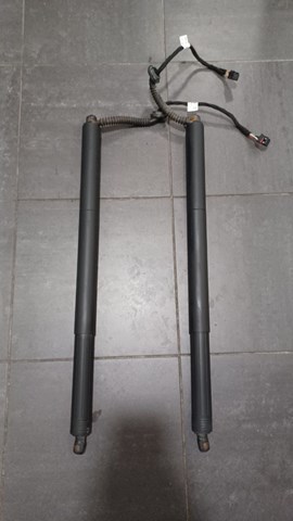 Амортизатор двері п'ятої 3G9827851A VAG