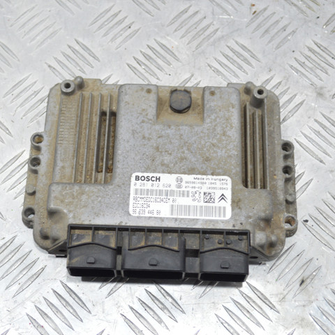 Мізки двигуна Citroen Berlingo