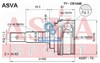 Шарнір різних кутових швидкостей передній TYCE1A48 ASVA