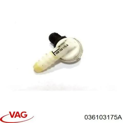 036103175A VAG