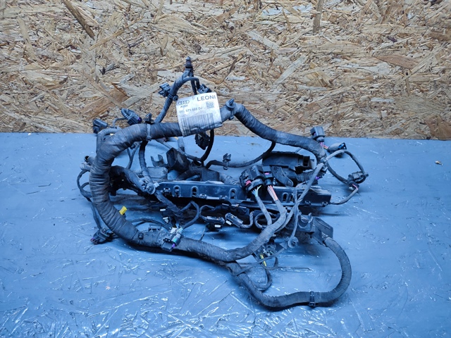 Електропроводка моторного віддсіка 06L971595DJ VAG
