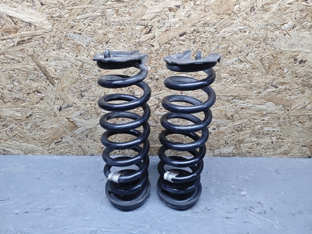Пружини задні 33536851725 BMW