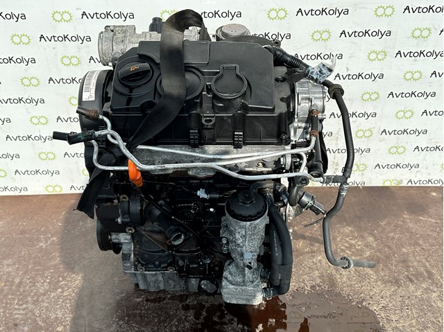 Двигатель в сборе vw caddy 1.9 tdi 2004-2010 (bls) BLS
