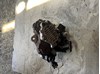 Насос паливний високого тиску Opel Movano A