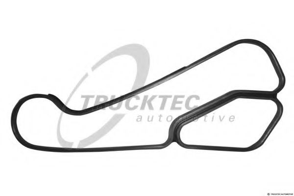 Прокладка адаптера маслянного фільтра 0810055 TRUCKTEC