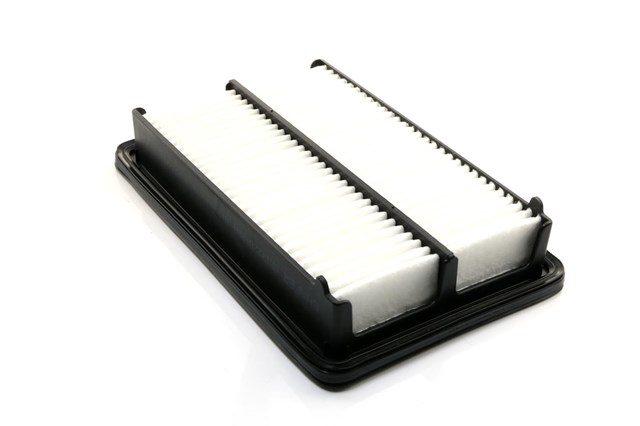 Повітряний фільтр двигуна SX17220R6AJ00 SHAFER