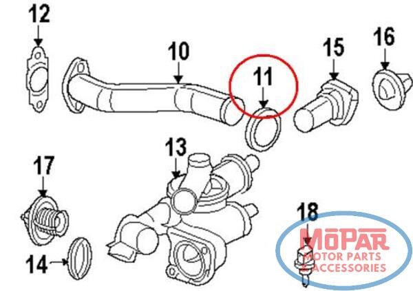 Ущільнююче кільце системи охолодження 4884873AA CHRYSLER