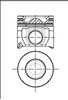 Поршня на 1 циліндр, STD 8743360000 NURAL