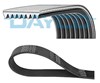 Клиновий ремінь 8PK1525HD DAYCO