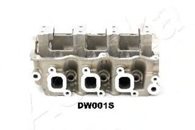 Головка блоку DW001S ASHIKA