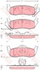 Колодки гальмові задні, дискові GDB4137 TRW
