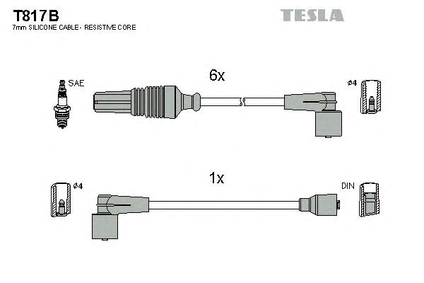 Комплект кабелiв запалювання T817B