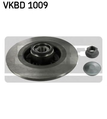 Дискові гальма VKBD1009 SKF