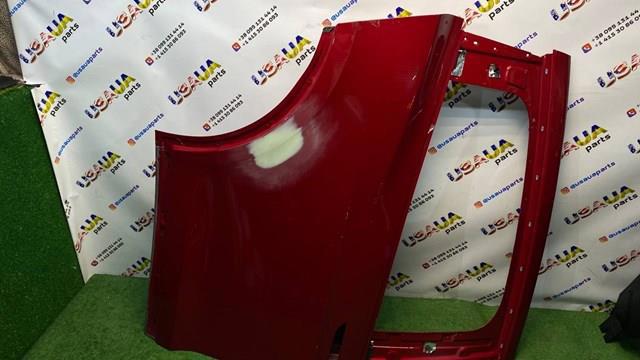 Двері задні в зборі 1069538E0A TESLA