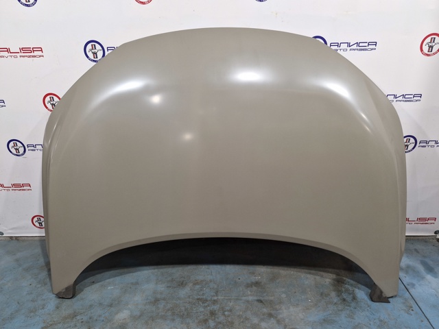 Капот 651006RR0A NISSAN