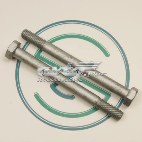 Болт кріплення передньої кульової опори до цапфи N10491802 VAG