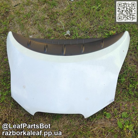 Капот 651003NF0A NISSAN