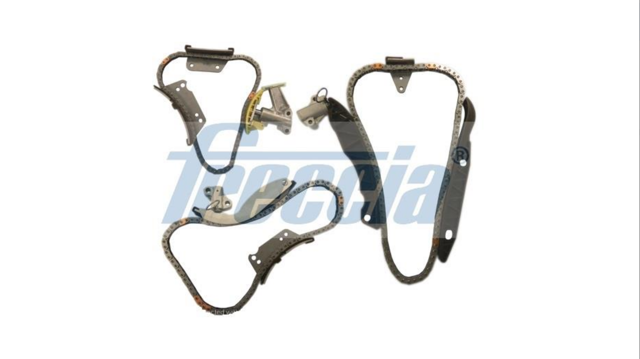 Ланцюг ГРМ, комплект TK081064 FRECCIA
