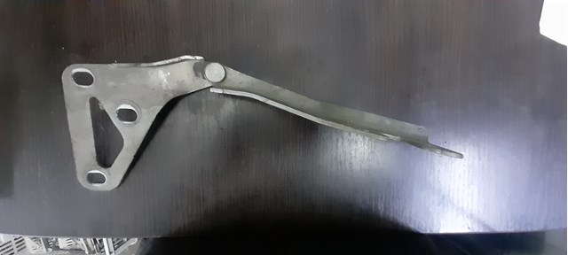 Завіс капота, лівий 24435368 GM