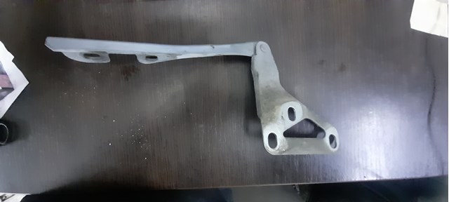 Завіс капота, правий 24435369 GM