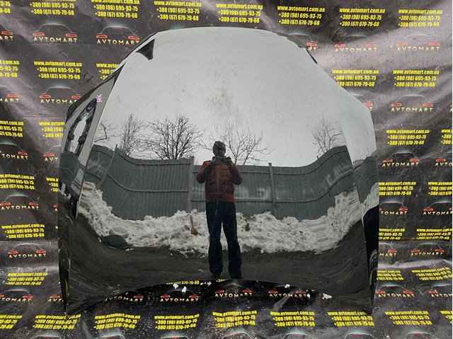 Капот 1051875E0G TESLA
