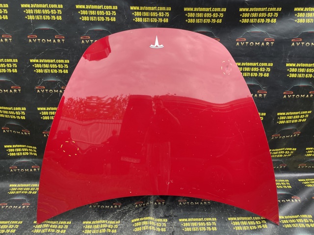 Капот 1081390E0C Tesla Model