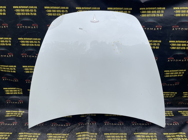 Капот 1714047ECD Tesla Model