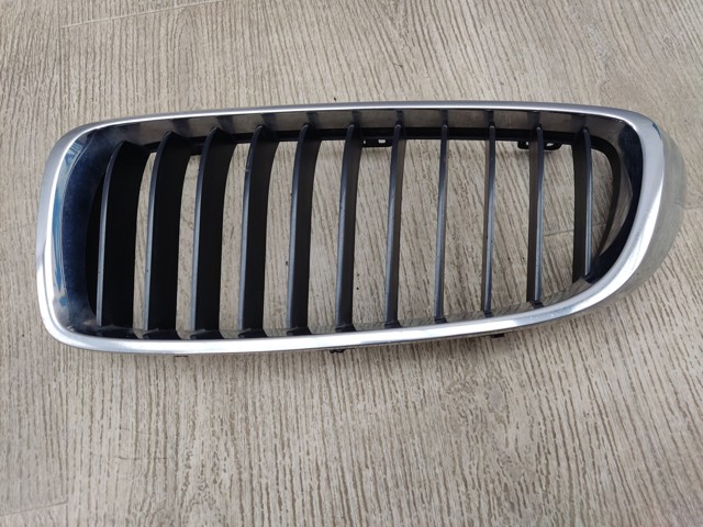 Решітка радіатора 7294813 BMW
