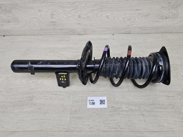 Ліва передня стійка E43036RA1D NISSAN