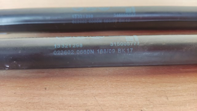 Амортизатор двері 3/5-ї задньої 13321298 GM