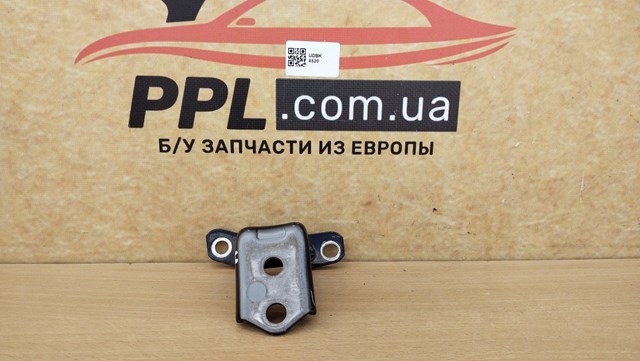 Петля задніх лівих дверей D46173240A MAZDA